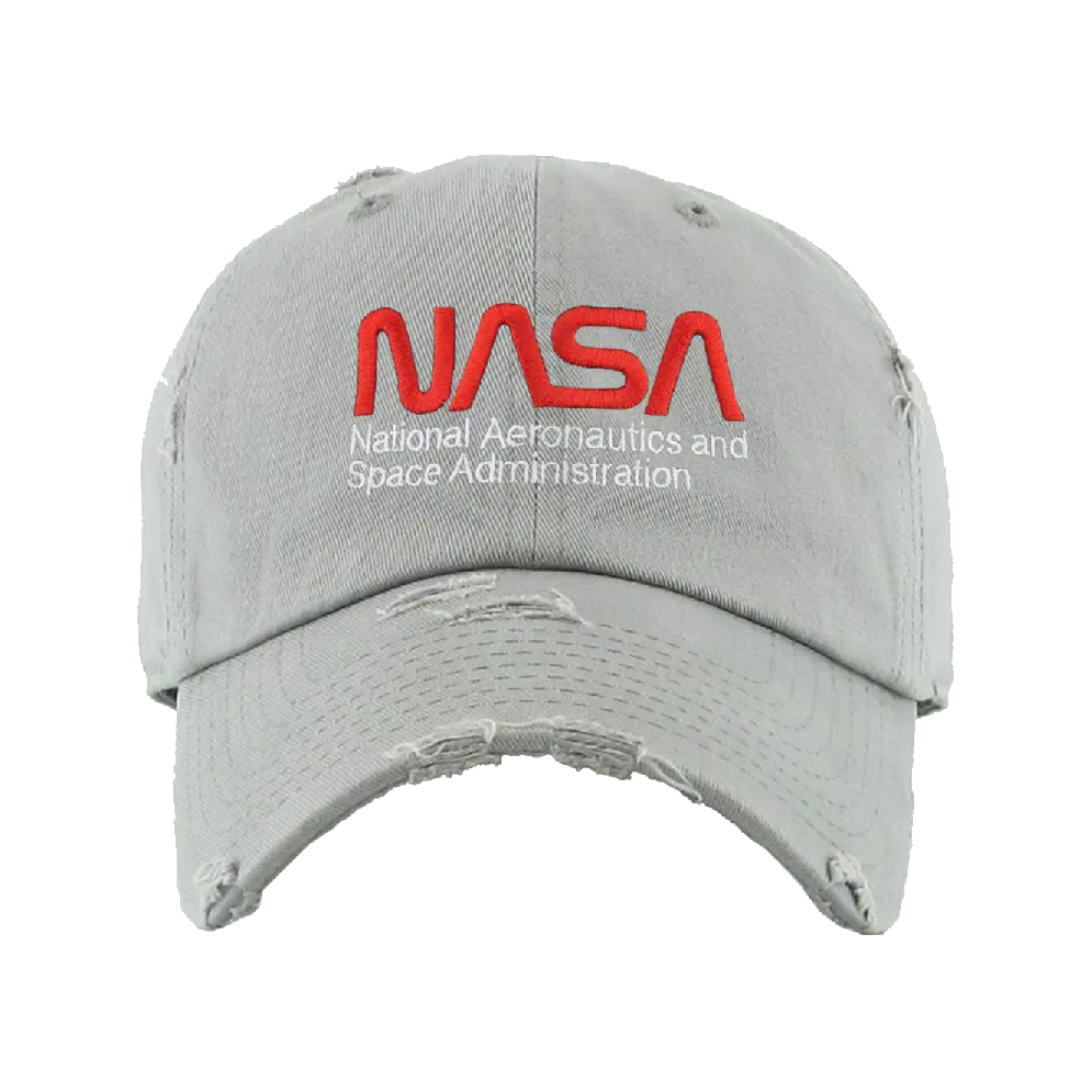 Distressed NASA Worm Cap