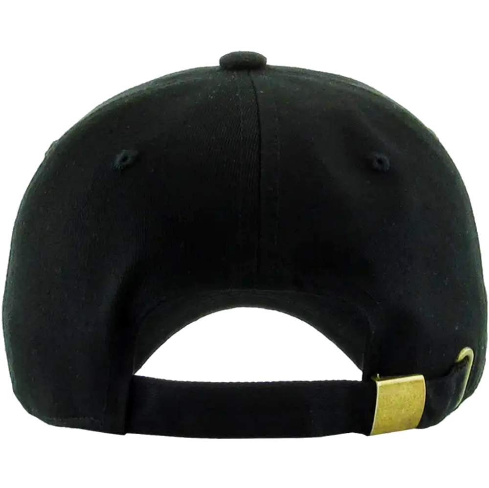 NASA 2.0 Meatball Cap