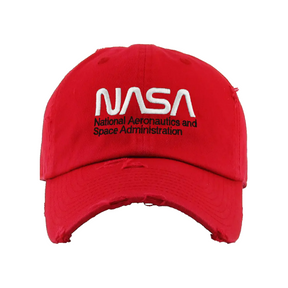 Distressed NASA Worm Cap