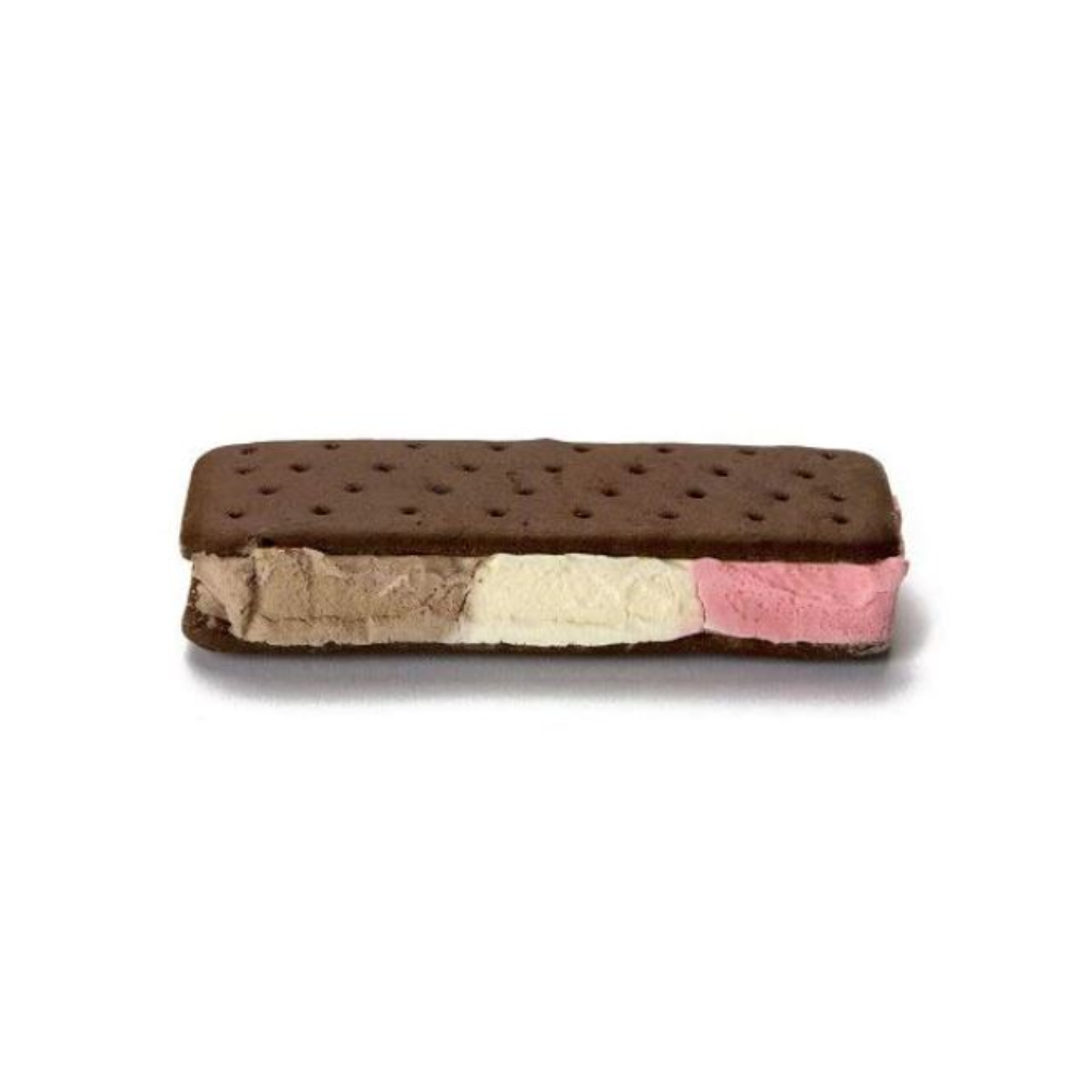 Astronaut Neapolitan Ice Cream Sandwich