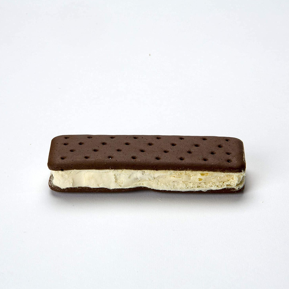 Astronaut Ice Cream Sandwich