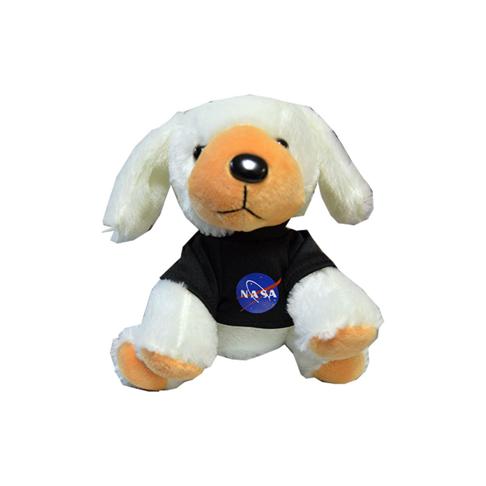 NASA Puppy