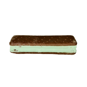 Astronaut Mint Chocolate Chip Ice Cream Sandwich