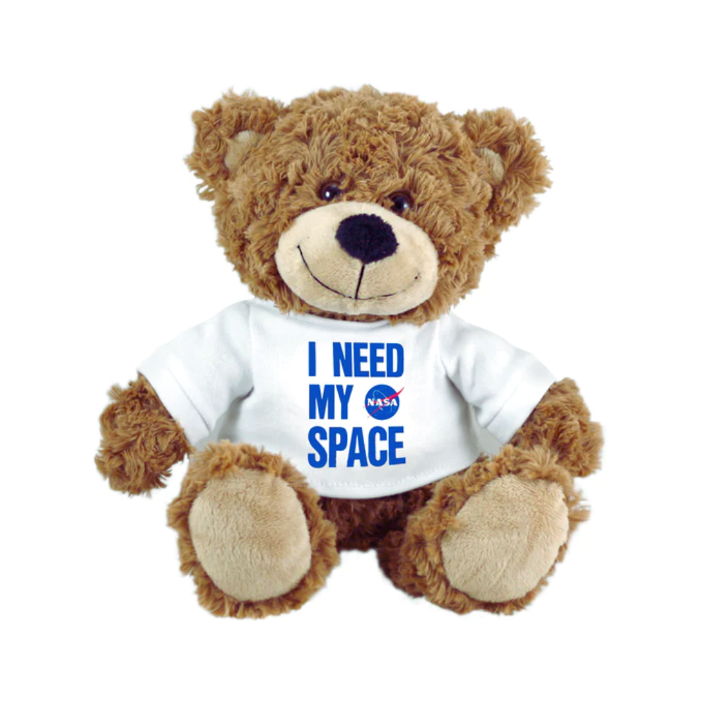 Toy NASA Bear