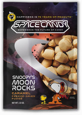 Snoopy Moon Rocks