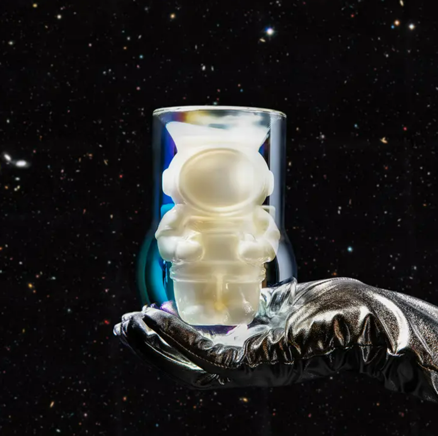 NASA Astronaut Glass Set