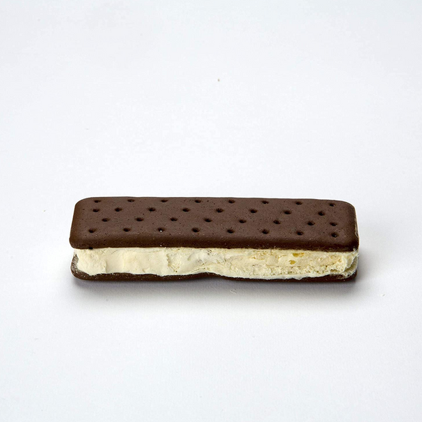 Astronaut Ice Cream Sandwich